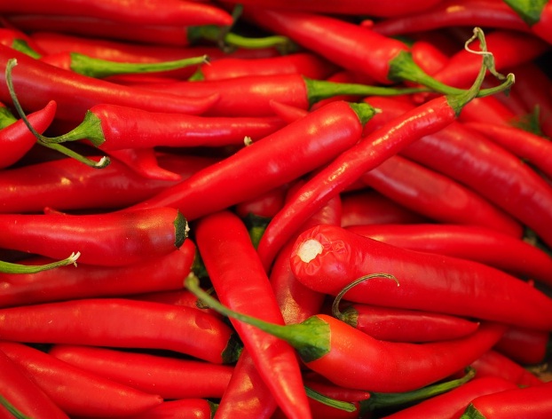 Cabai Merah Besar